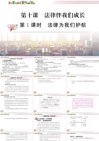 初中道法七年级下册课件-第1课时 法律为我们护航.ppt