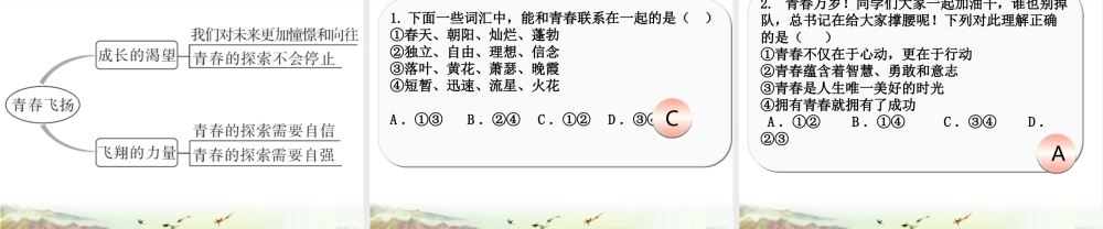 初中道法七年级下册课件-第1课时 青春飞扬new.pptx