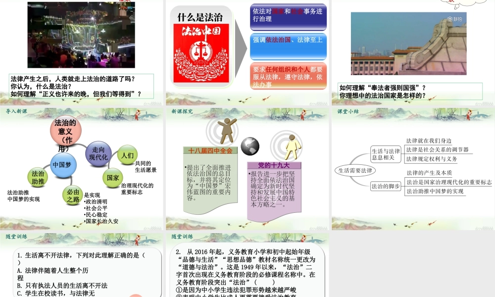 初中道法七年级下册课件-第1课时 生活需要法律 (2).pptx