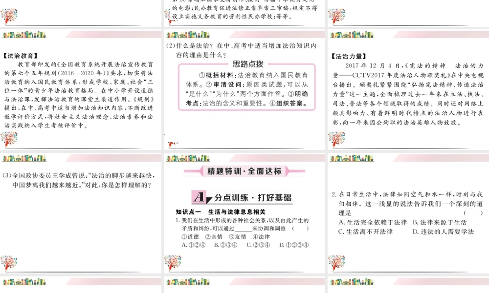 初中道法七年级下册课件-第1课时 生活需要法律.ppt