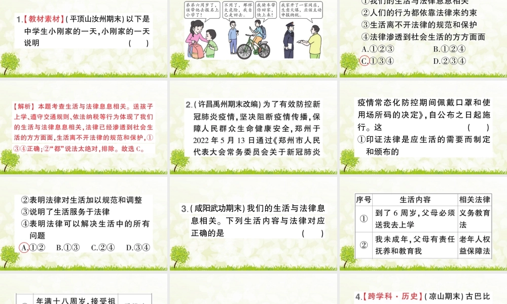 初中道法七年级下册课件-第1课时 生活需要法律.pptx