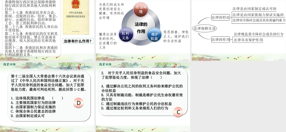 初中道法七年级下册课件-第2课时 法律保障生活 (2).pptx