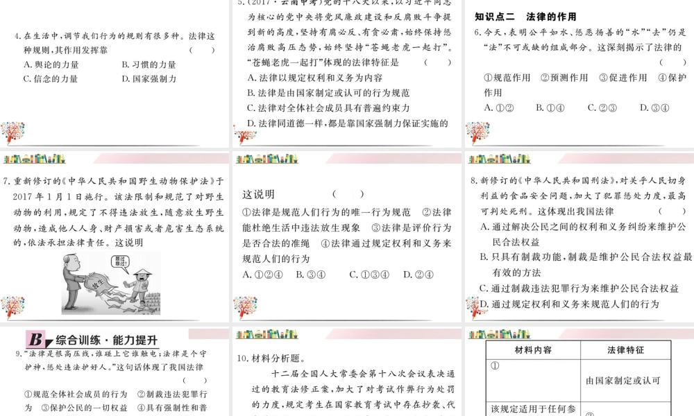 初中道法七年级下册课件-第2课时 法律保障生活.ppt