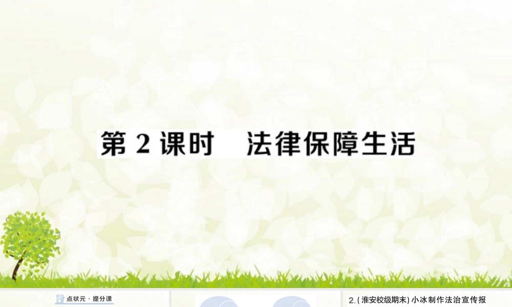 初中道法七年级下册课件-第2课时 法律保障生活.pptx