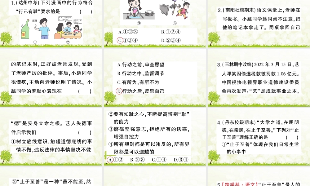 初中道法七年级下册课件-第2课时 青春有格.pptx