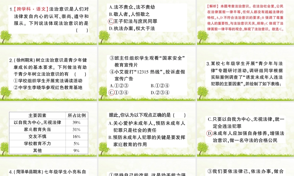 初中道法七年级下册课件-第2课时 我们与法律同行.pptx