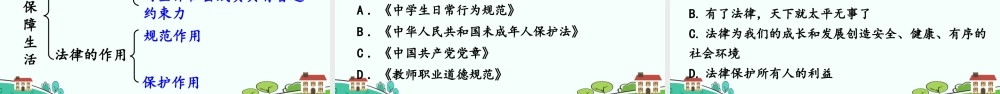 初中道法七年级下册课件-法律保障生活.ppt