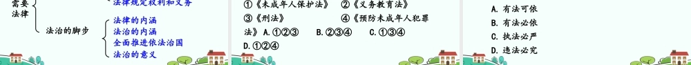初中道法七年级下册课件-生活需要法律.ppt