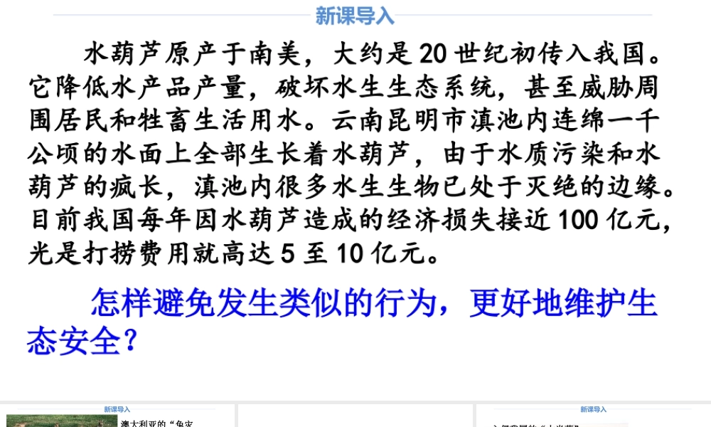 道德与法治八上课件-9.2 维护国家安全观.ppt
