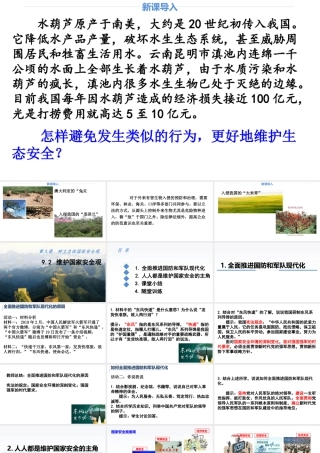 道德与法治八上课件-9.2 维护国家安全观.ppt