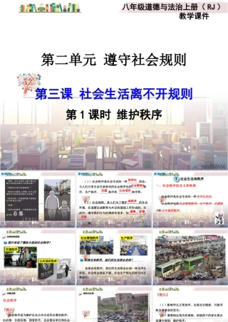 道德与法治八上课件-第1课时 维护秩序.ppt