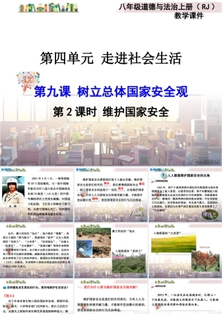 道德与法治八上课件-第2课时 维护国家安全.ppt