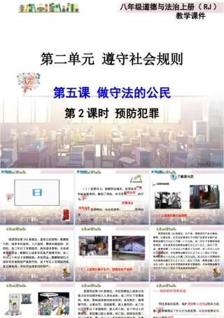 道德与法治八上课件-第2课时 预防犯罪.ppt