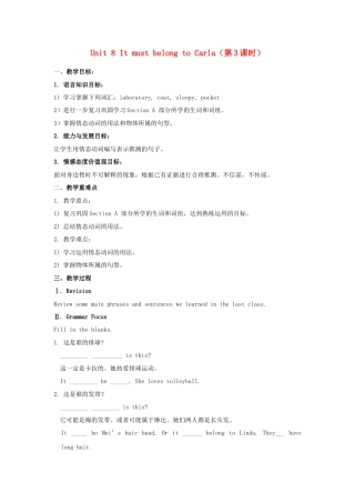 九年级英语全册 Unit 8 It must belong to Carla（第3课时）教案 （新版）人教新目标版.doc
