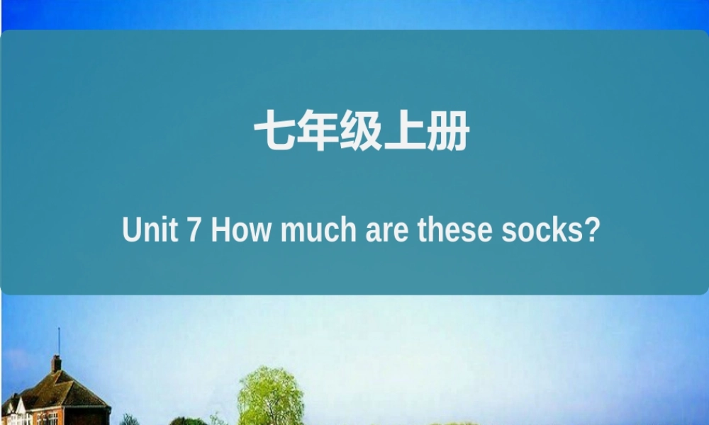 人教版七年级英语上册复习课件Unit 7 How much are these socks？知识总结课件（25张PPT）.ppt