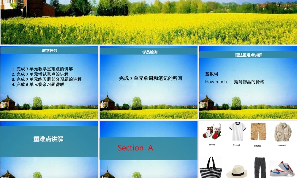 人教版七年级英语上册复习课件Unit 7 How much are these socks？知识总结课件（25张PPT）.ppt