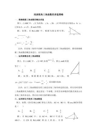 三角函数的求值策略-苏科版初中数学.doc