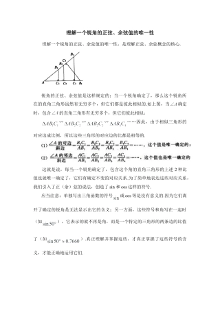 一个锐角的正弦、余弦值的唯一性-苏科版初中数学.doc