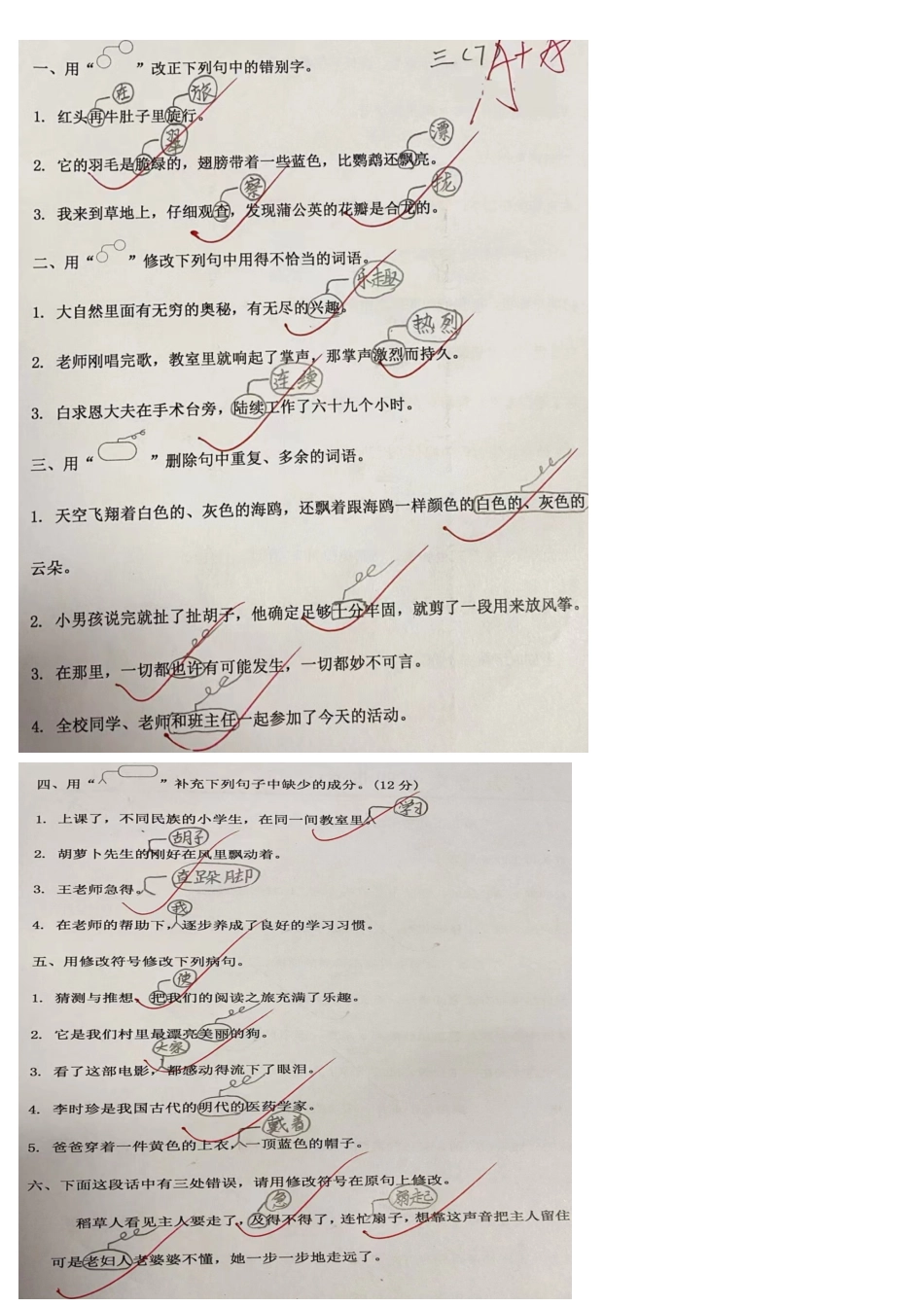 三年级上册语文：修改病句专项，答案.pdf_第3页