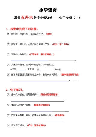 部编版语文《句子专项》五升六语文.pdf