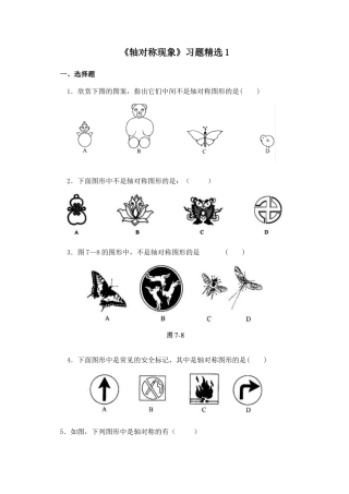 北师大版七年级数学下《轴对称现象》习题精选1.doc