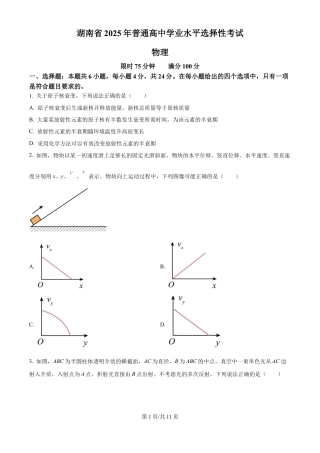 2025年高考湖南卷物理真题.docx