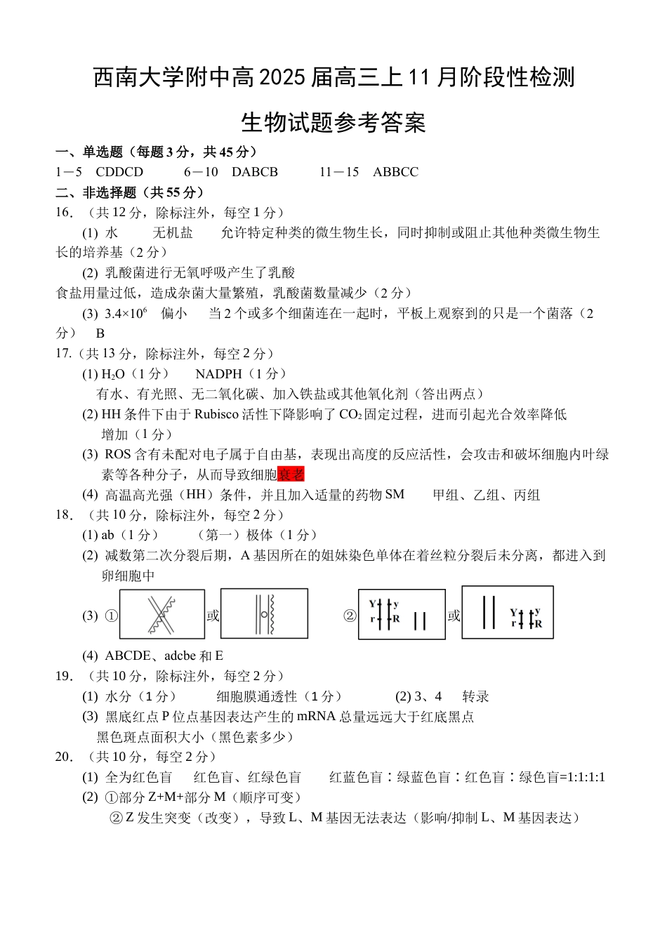 重庆市西南大学附属中学2024-2025学年高三上学期11月阶段性检测生物试卷_参考答案.docx_第1页
