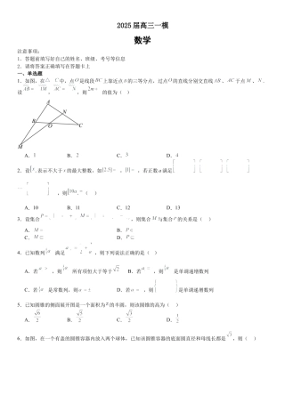 湖南省长沙市望城区第一中学2025届高三一模试题数学.docx