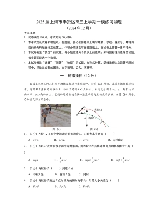 上海市奉贤区2024-2025学年高三上学期一模练习物理试题（含答案）.docx