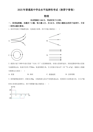 2025《高考真题•陕晋青宁》物理(原卷版).docx