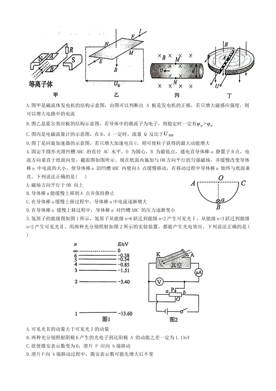 湖北省武汉市江岸区2023-2024学年高二下学期7月期末物理试题 Word版含答案.docx_第2页