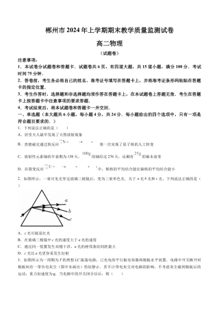 湖南省郴州市2023-2024学年高二下学期期末考试物理试卷Word版含答案.docx