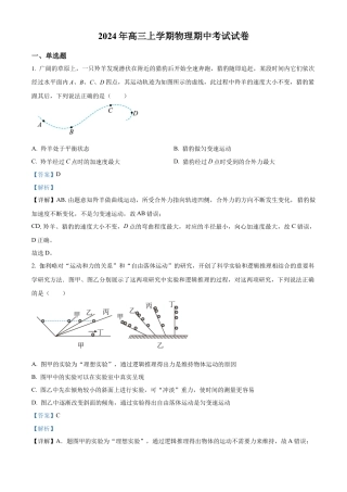 湖南省岳阳市临湘市2024-2025学年高三上学期11月期中物理试题  Word版含解析.docx