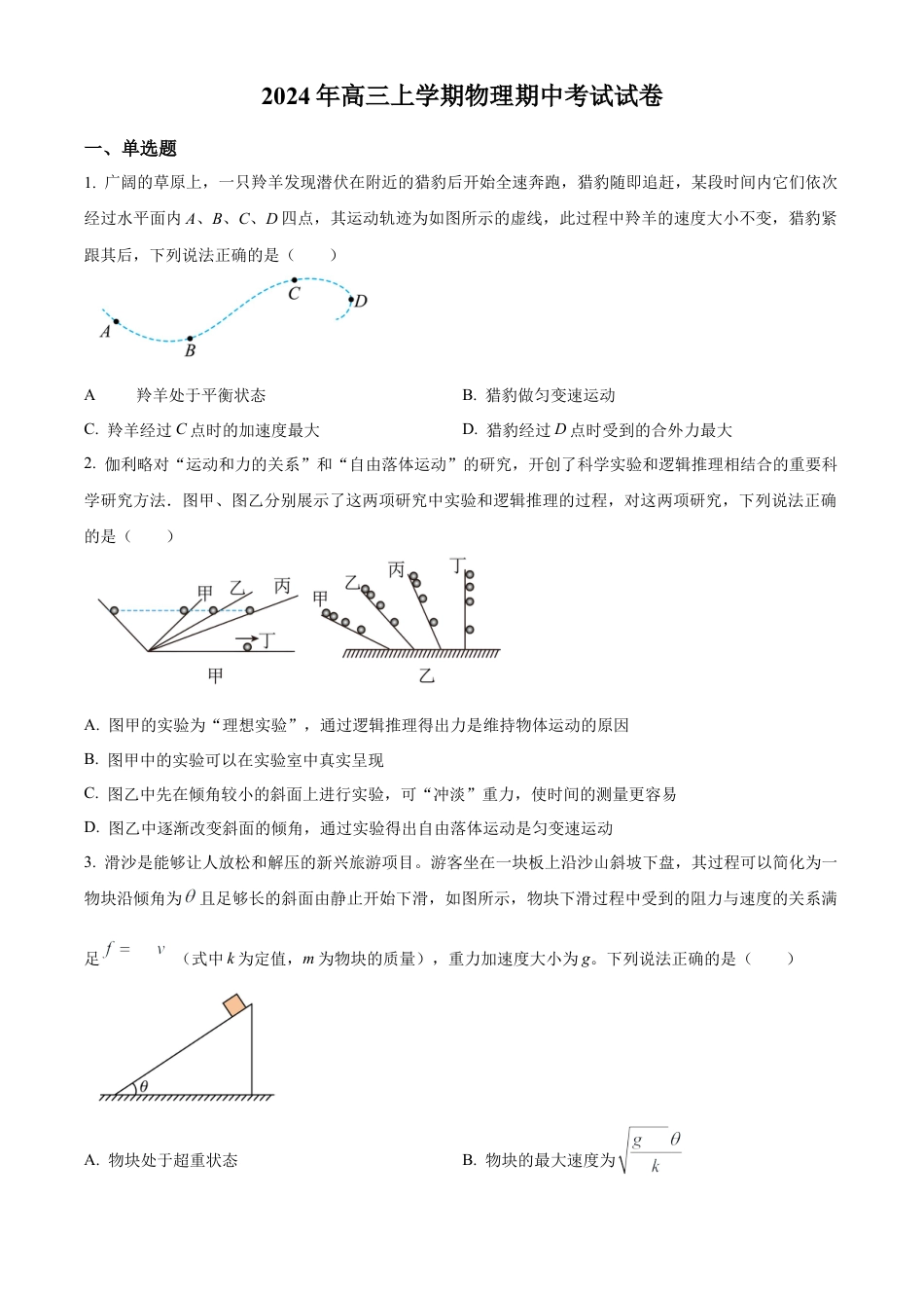 湖南省岳阳市临湘市2024-2025学年高三上学期11月期中物理试题  Word版无答案.docx_第1页