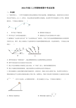 湖南省岳阳市临湘市2024-2025学年高三上学期11月期中物理试题  Word版无答案.docx