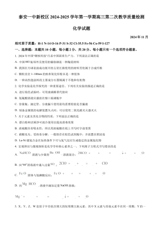 山东省泰安第一中学2025届高三上学期11月月考 化学试题.docx