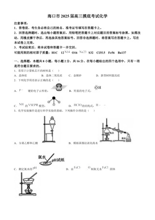 海南省海口市2025届高三上学期摸底考试 化学试题（含答案）.docx