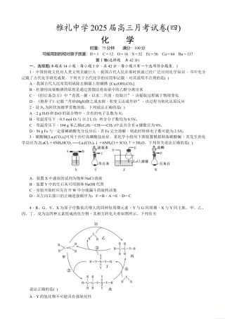 湖南省长沙市雅礼中学2024-2025学年高三上学期月考（四）化学试卷（含答案）.doc