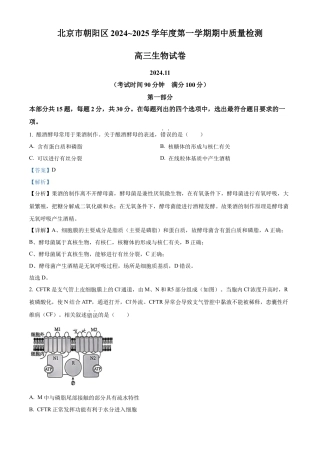 北京市朝阳区2024-2025学年高三上学期11月期中生物试题 Word版含解析.docx