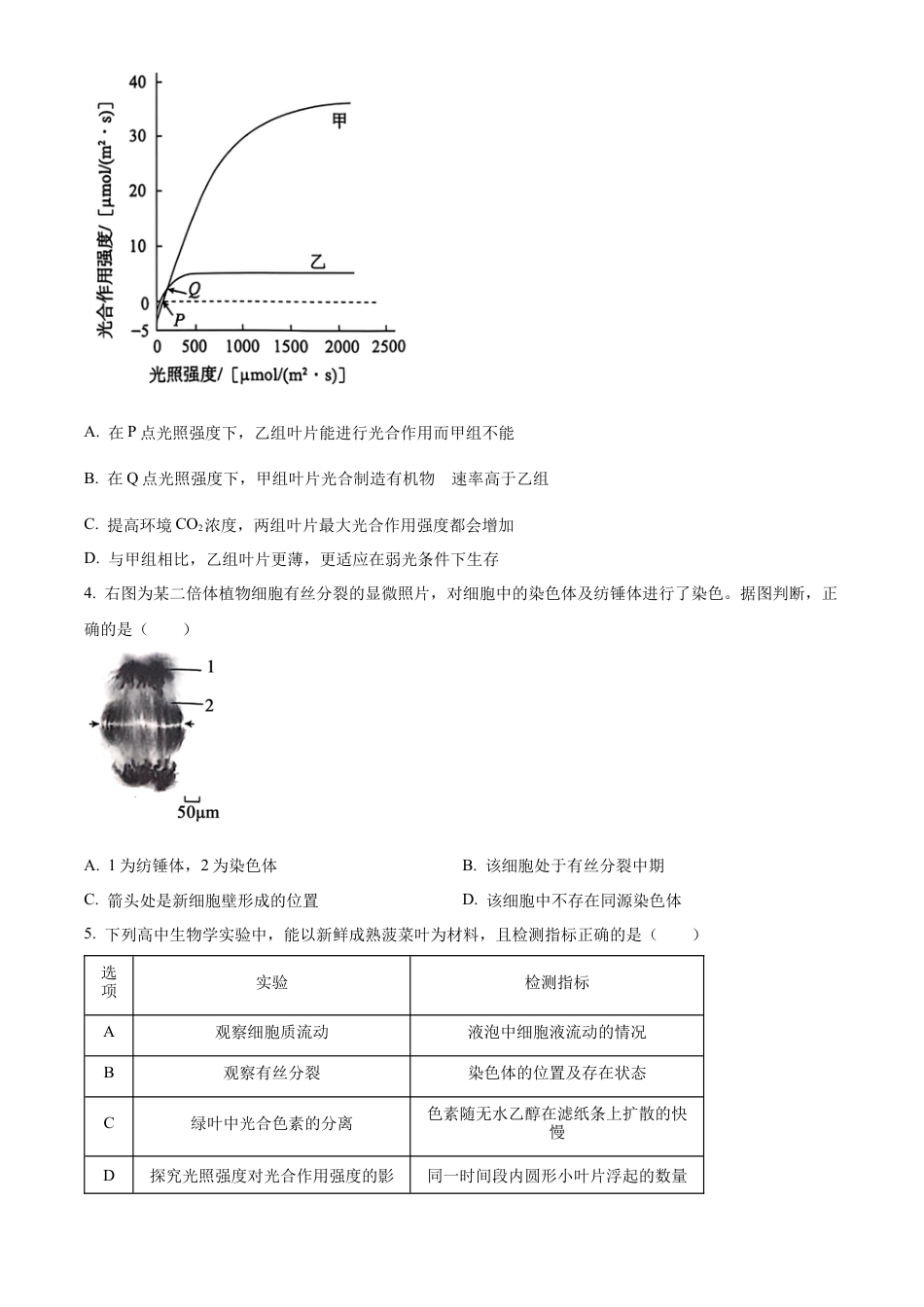 北京市朝阳区2024-2025学年高三上学期11月期中生物试题 Word版无答案.docx_第2页