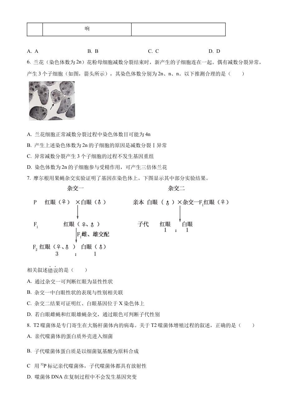 北京市朝阳区2024-2025学年高三上学期11月期中生物试题 Word版无答案.docx_第3页