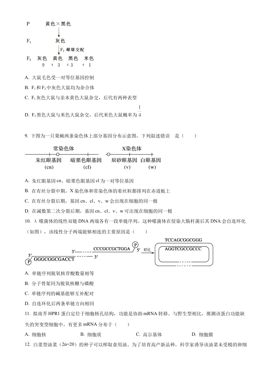 北京市通州区2025届高三上学期11月期中质量检测生物.docx_第3页