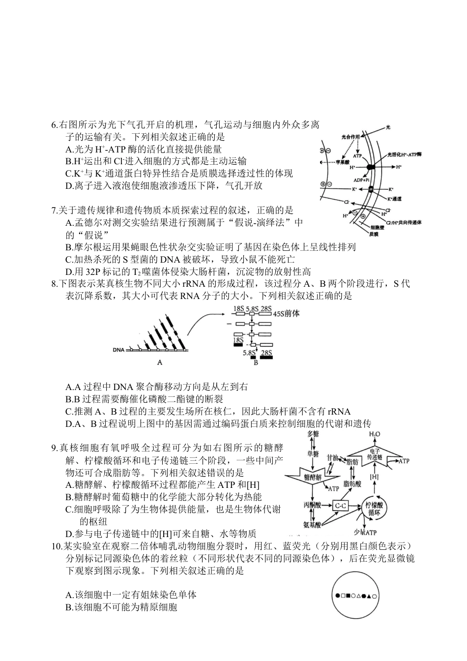 江苏省盐城市2024-2025学年高三上学期11月期中考试 生物 Word版无答案.docx_第2页