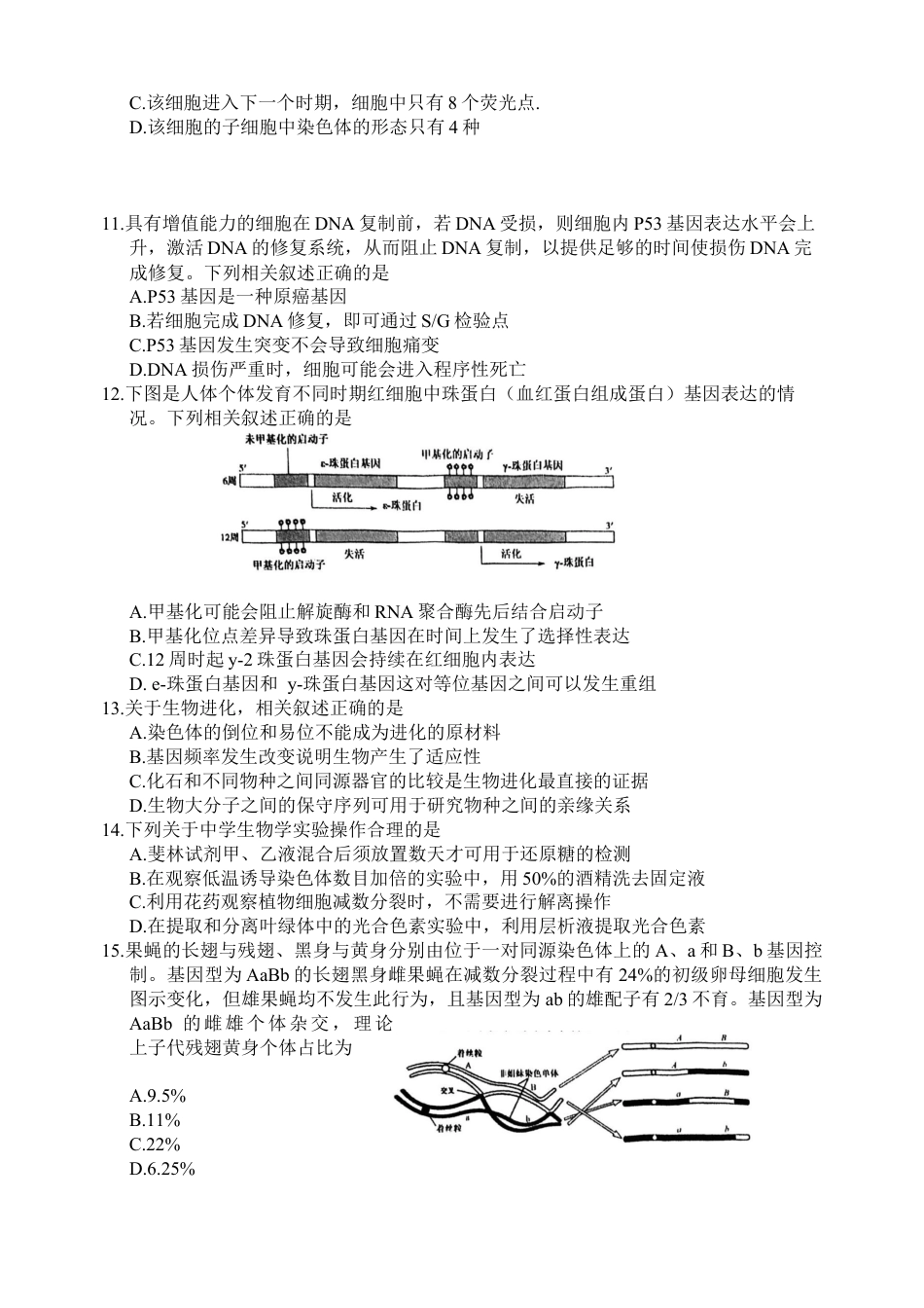 江苏省盐城市2024-2025学年高三上学期11月期中考试 生物 Word版无答案.docx_第3页