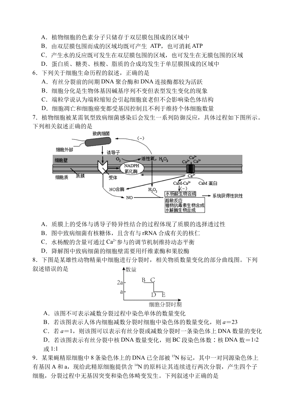 江苏省扬州中学2024-2025学年高三上学期8月开学考试 生物 Word版含答案.docx_第2页