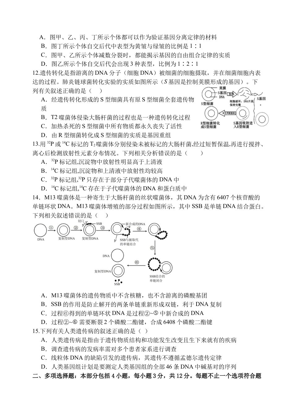 江苏省扬州中学2024-2025学年高三上学期10月月考试题 生物 Word版含答案.docx_第3页
