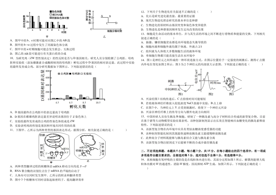 2024—2025学年度高三上学期期中生物试题.docx_第2页