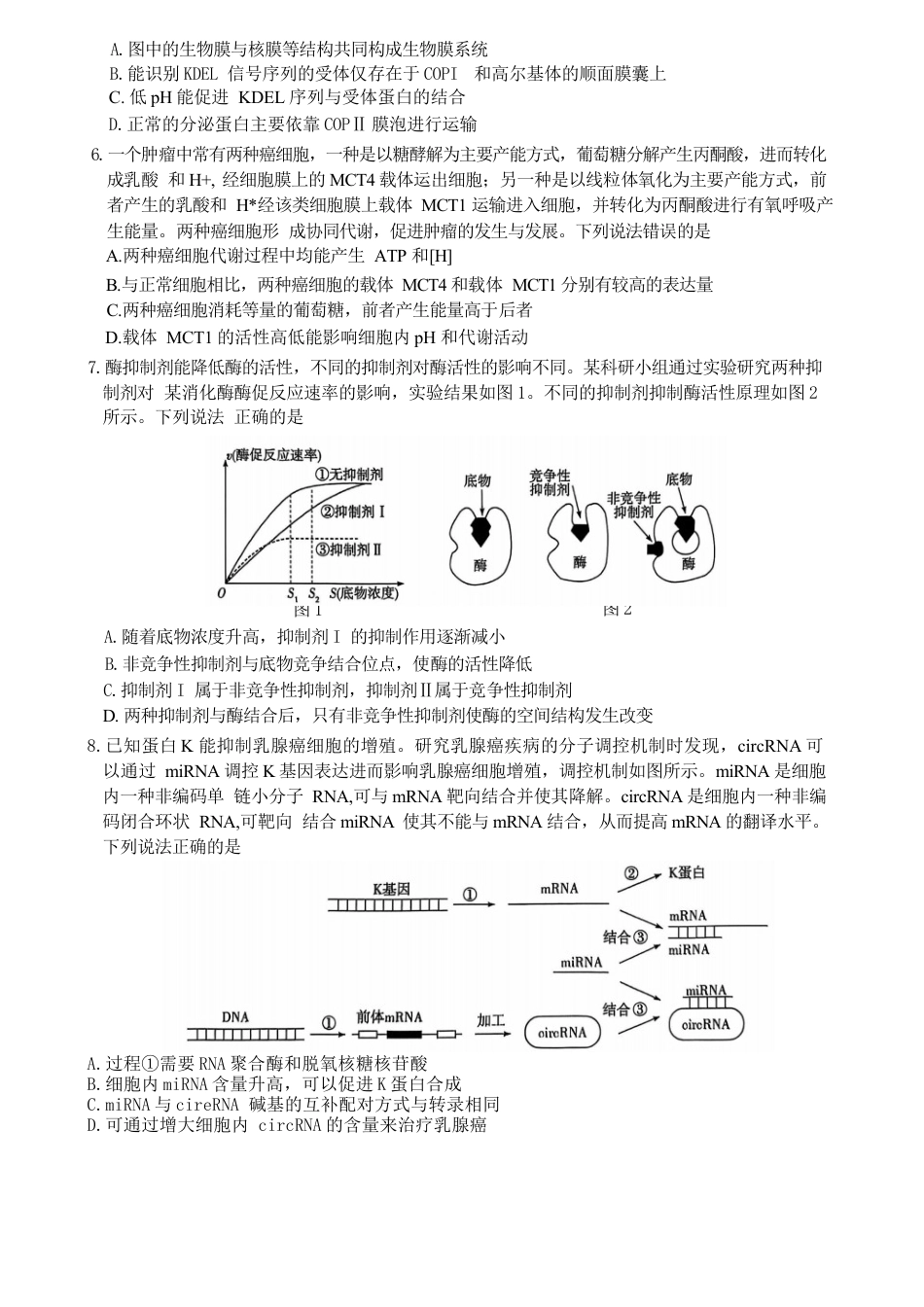2024—2025学年高三年级第二次联考生物_山东省生物试题.docx_第3页