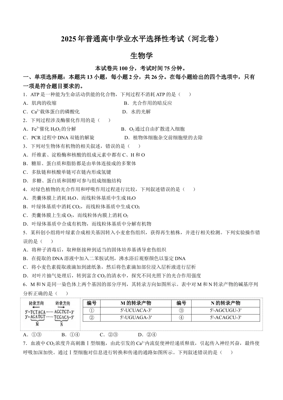 2025《高考真题•河北》生物真题(原卷).docx_第1页