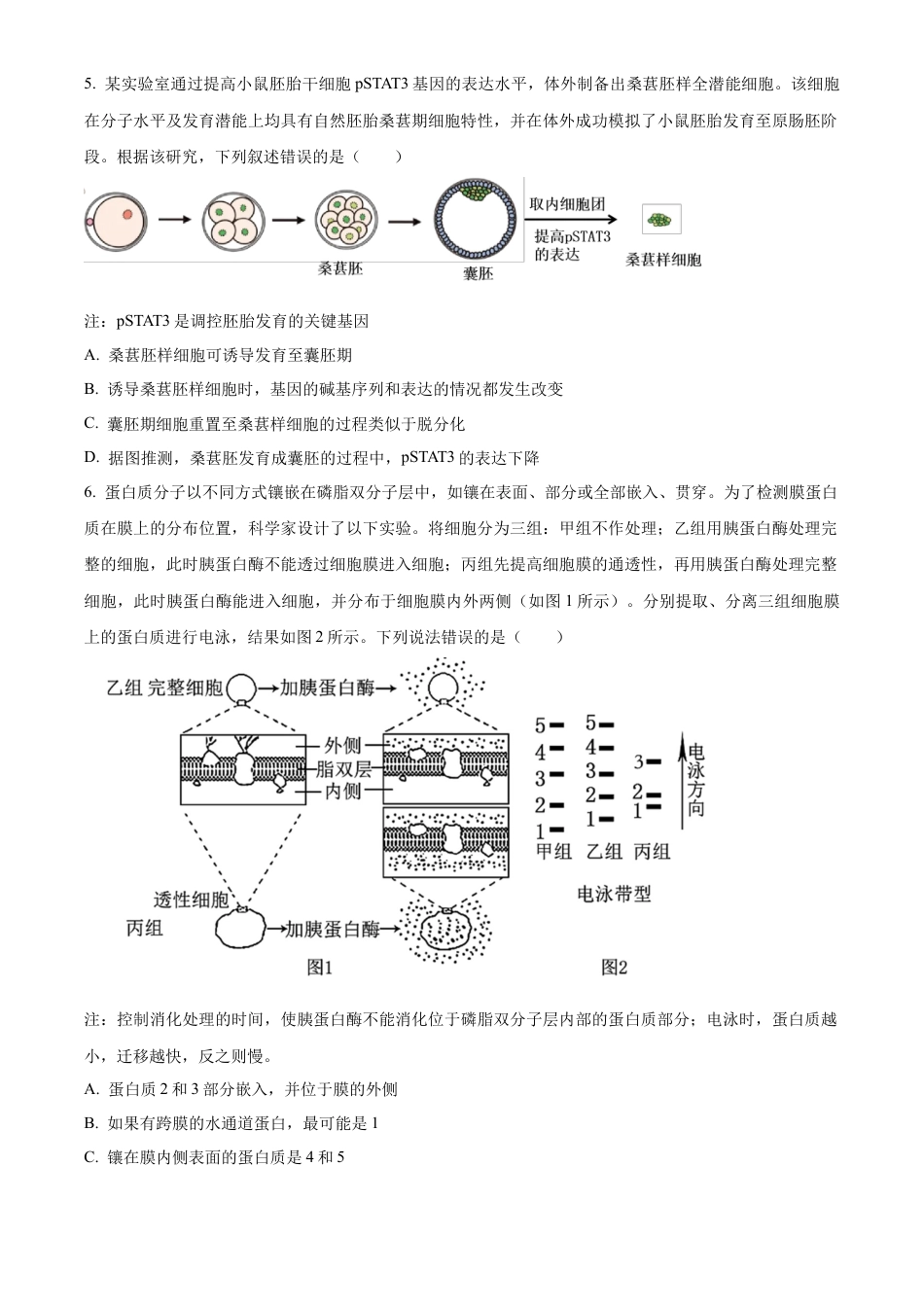 2025届广东省联考高三上学期10月第一次模拟（一模）生物试题.docx_第3页
